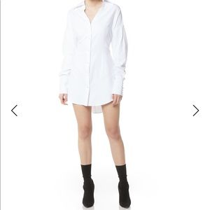 Steele-darted boyfriend shirt dress(new with tags)